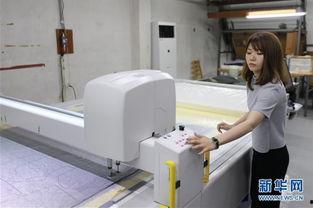 日本冈田製藥,制药行业的领军者与创新力量