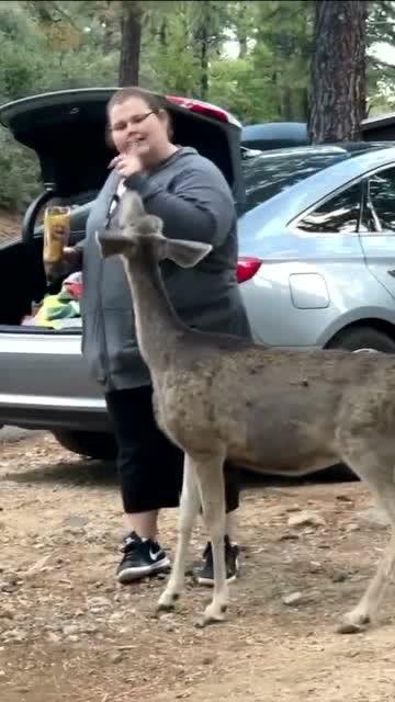 女人与动物乱淫在线播放,揭秘女人与动物乱淫的暗黑世界