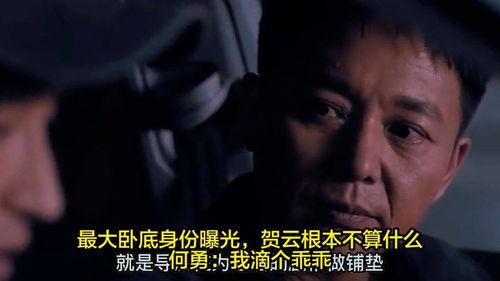 卧底爆料视频大全集,揭秘卧底爆料视频大全集背后的惊心动魄