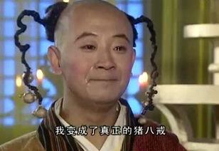 曲珊珊老公,揭秘明星背后的神秘力量