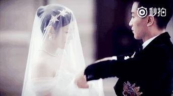 陈晓陈妍希掀盖吻视频,浪漫瞬间引网友热议