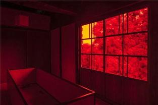 日本梦之屋,探寻梦幻家园的奇幻之旅