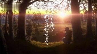 日本mv视频资源,日本MV视频资源中的视觉盛宴