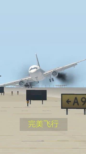 完美的飞行在线观看,完美飞行在线观看之旅