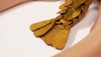 日本铜虫,神秘生物的生态奥秘与人类利用