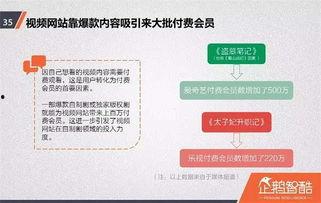 视频网站报告,洞察行业趋势与用户行为