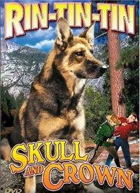 皇冠av看视频,一场视觉盛宴的深度解析