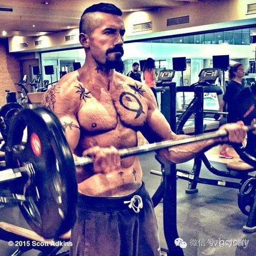 肌肉男av,揭秘健身狂热者的激情世界